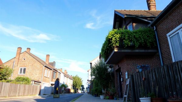 Solutions efficaces contre les nuisibles à Rosny-sous-Bois